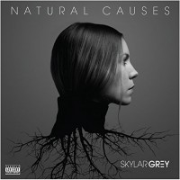 Purchase Skylar Grey - Natural Causes