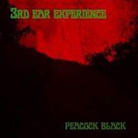Purchase 3Rd Ear Experience - Peacock Black