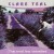 Buy Clare Teal - The Road Less Travelled Mp3 Download