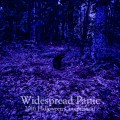 Buy Widespread Panic - Halloween Compilation CD1 Mp3 Download
