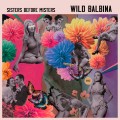 Buy Wild Balbina - Sisters Before Misters Mp3 Download