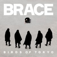 Purchase Birds Of Tokyo - Brace (CDS)