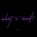 Buy Lay - What U Need? (CDS) Mp3 Download