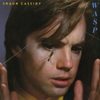Purchase Shaun Cassidy - Wasp (Vinyl)
