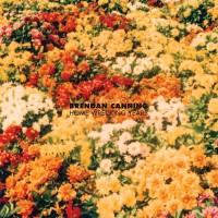 Purchase Brendan Canning - Home Wrecking Years