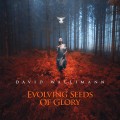 Buy David Wallimann - Evolving Seeds Of Glory Mp3 Download