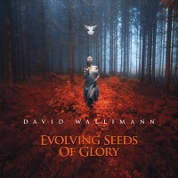 Purchase David Wallimann - Evolving Seeds Of Glory