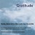 Buy Bobby Matos - Gratitude (With His Afro Latin Jazz Ensemble) Mp3 Download