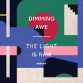 Buy Botany - Dimming Awe, The Light Is Raw Mp3 Download