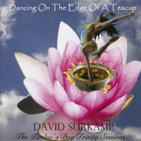 Purchase David Surkamp - Dancing On The Edge Of A Teacup