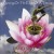 Buy David Surkamp - Dancing On The Edge Of A Teacup Mp3 Download