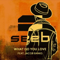 Purchase Seeb - What Do You Love (CDS)