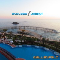 Purchase Wellenfeld - Endless Summer