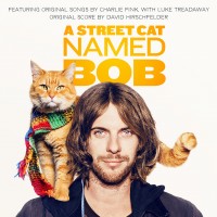 Purchase VA - A Street Cat Named Bob