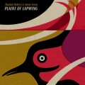 Buy Alasdair Roberts & James Green - Plaint Of Lapwing Mp3 Download