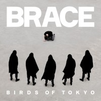 Purchase Birds Of Tokyo - Brace