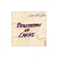 Buy Dot Allison - Exaltation Of Larks Mp3 Download