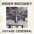 Buy Didier Bocquet - Voyage Cerebral (Vinyl) Mp3 Download