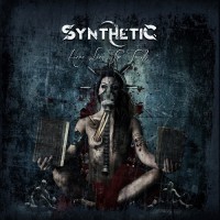 Purchase Synthetic - Here Lies The Truth