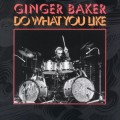 Buy Ginger Baker - Do What You Like CD2 Mp3 Download