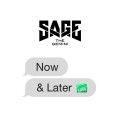 Buy Sage The Gemini - Now And Later (CDS) Mp3 Download