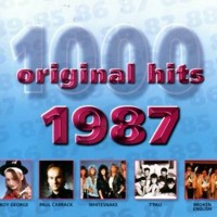 Purchase VA - 1000 Original Hits 1987
