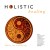 Buy Patrick Kelly - Holistic Healing Mp3 Download