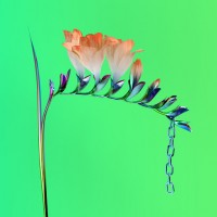 Purchase Flume - Skin Companion EP I