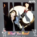 Buy INXS - What You Need (Extended Mix) (VLS) Mp3 Download