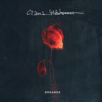 Purchase Organek - Czarna Madonna