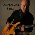 Buy Jeremy Spencer - Homebrewed Blues Mp3 Download