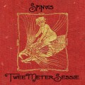 Buy Spinvis - 2 Meter Sessie Mp3 Download