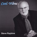 Buy Steve Raybine - Cool Vibes Mp3 Download