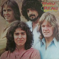 Purchase Toby Beau - More Than A Love Song (Vinyl)