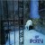 Buy Gruppo D'alternativa - Ipotesi (Reissued 2007) Mp3 Download