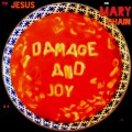 Buy The Jesus And Mary Chain - Damage And Joy Mp3 Download