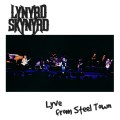 Buy Lynyrd Skynyrd - Lyve From Steel Town CD2 Mp3 Download