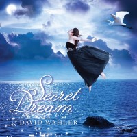 Purchase David Wahler - Secret Dream