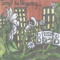 Buy Blurum 13 - Smell The Urgency Mp3 Download