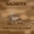 Buy Salander - Crash Course For Dessert Mp3 Download