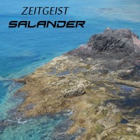 Purchase Salander - Zeitgeist (CDS)
