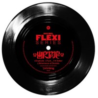 Purchase Wormrot - Decibel Flexi-Disc