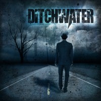 Purchase Ditchwater - Into The Storm