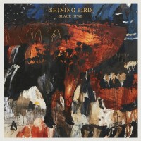 Purchase Shining Bird - Black Opal