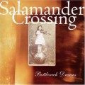 Buy Salamander Crossing - Bottleneck Dreams Mp3 Download