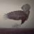 Buy Katatonia - The Fall Of Hearts (Deluxe Edition) Mp3 Download
