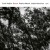 Buy Colin Vallon Trio - Danse Mp3 Download