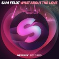 Buy Sam Feldt - What About The Love (CDS) Mp3 Download