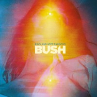 Purchase Bush - Black And White Rainbows