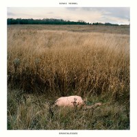 Purchase Sinai Vessel - Brokenlegged